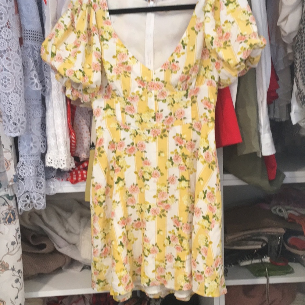 For Love And Lemons Atlanta dress
